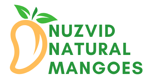 Nuzvid Natural Mangoes